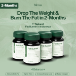 BUNDLING BELANCE PLUS 4 PACK